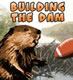 Building the Dam